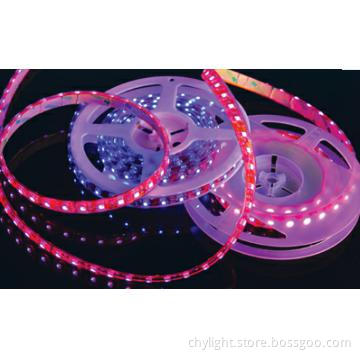 150LEDs/m Non-waterproof SMD5050 LED Rope Light with Color Changing